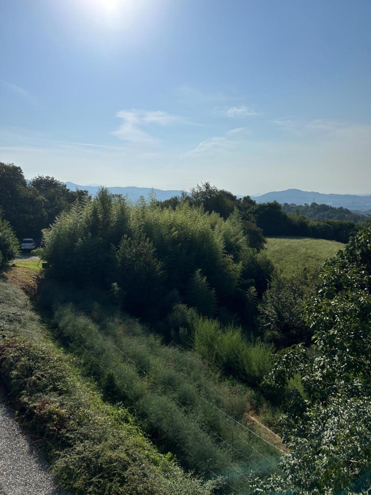 Agriturismo Al Robale Almenno San Bartolomeo Dış mekan fotoğraf