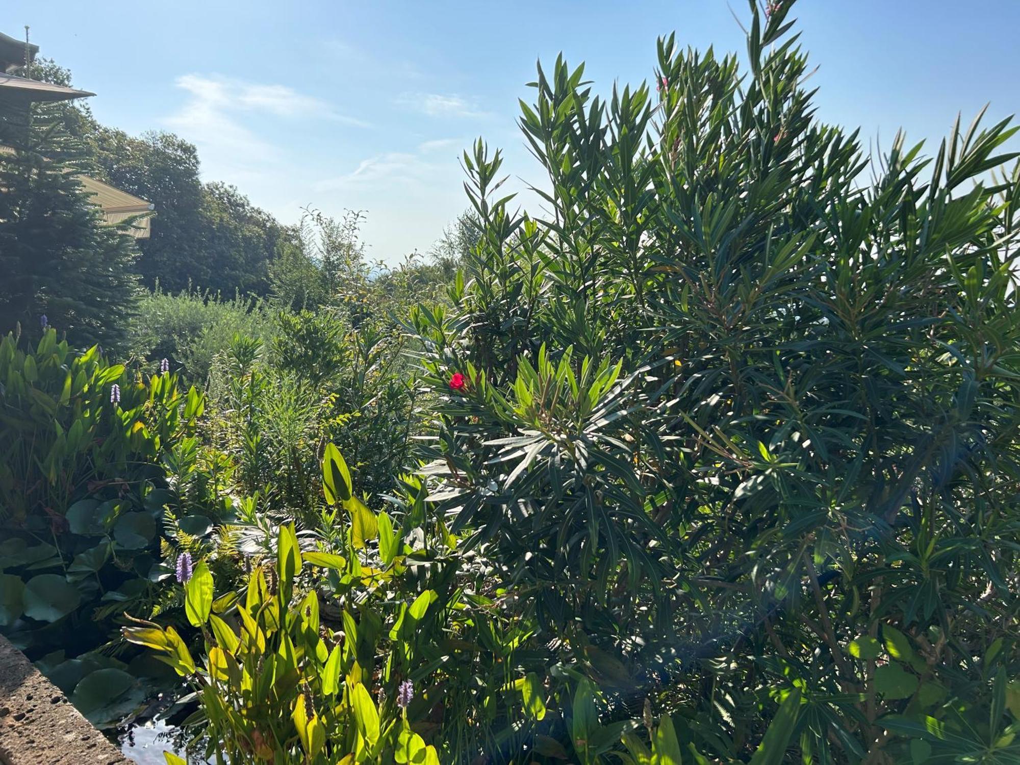 Agriturismo Al Robale Almenno San Bartolomeo Dış mekan fotoğraf