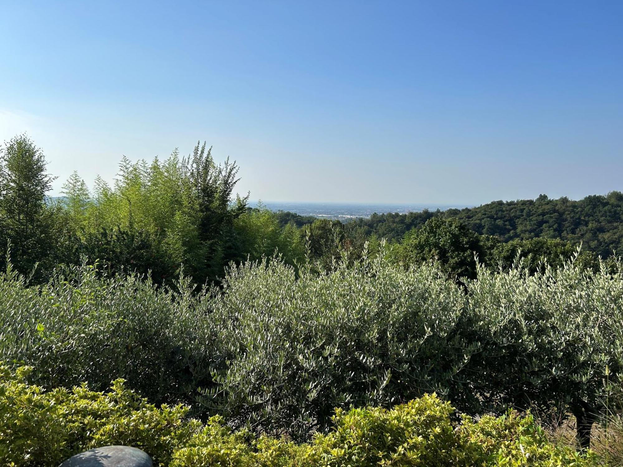 Agriturismo Al Robale Almenno San Bartolomeo Dış mekan fotoğraf