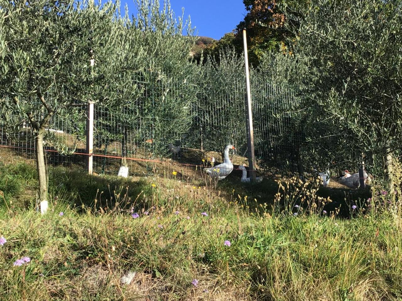 Agriturismo Al Robale Almenno San Bartolomeo Dış mekan fotoğraf